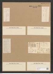 Nitzschia lanceolata var. incrustans Grun. (de-Toni-Nr.: Genus 47, Species 2117) Zeichnungen Sammlung Grunow Nr. 4244 (NHMW-BOT-W0372213)